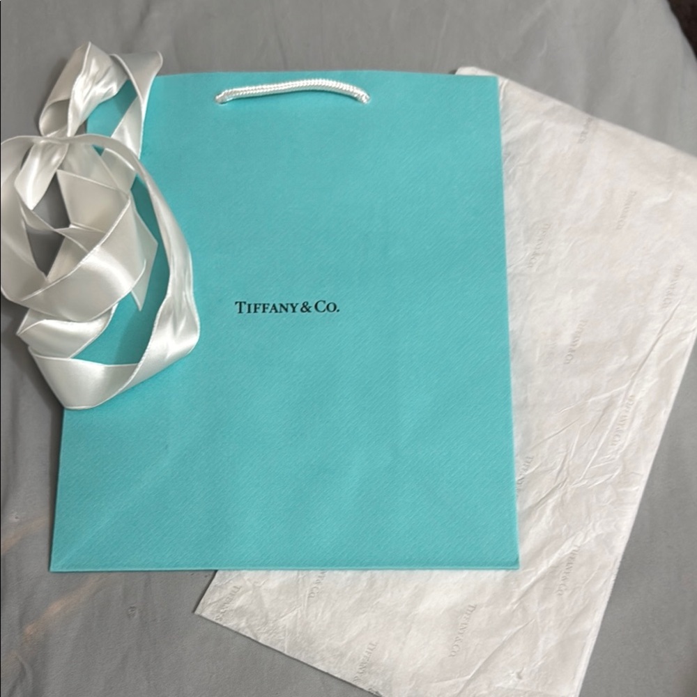 Tiffany & Co. Signature Blue Paper Gift Bag set🩵